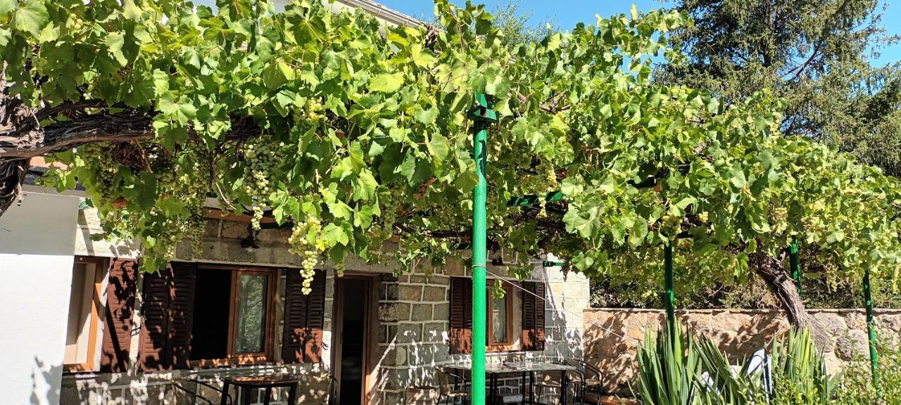 La Parra De Pepa Vendégház Cercedilla Kültér fotó